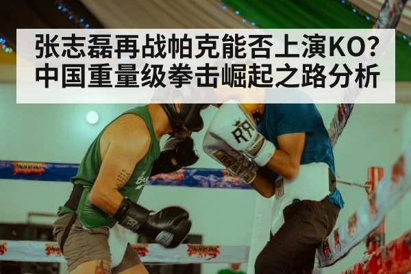 Zhang Zhilei boxing